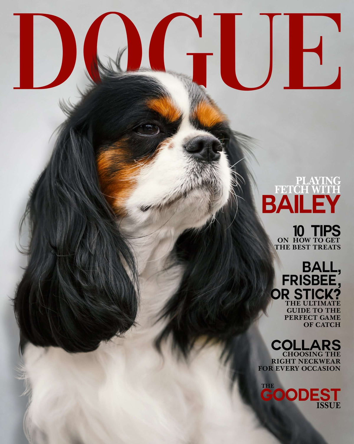 Dogue Cover Custom Premium Acrylic Pet Portrait