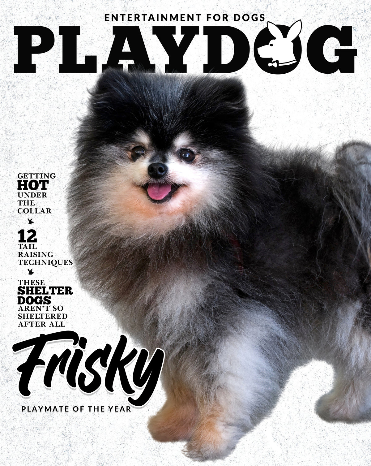 Playdog Cover Custom Premium Acrylic Pet Portrait