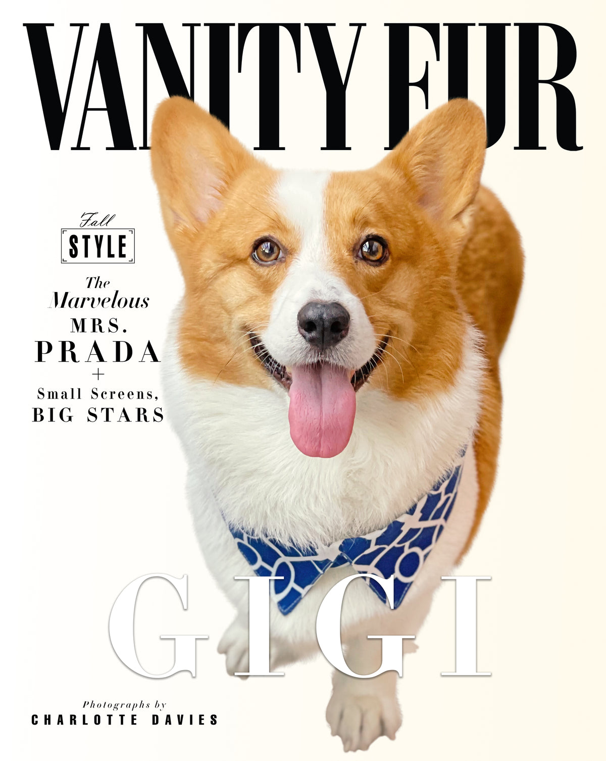 Vanity Fur Cover Custom Premium Acrylic Pet Portrait
