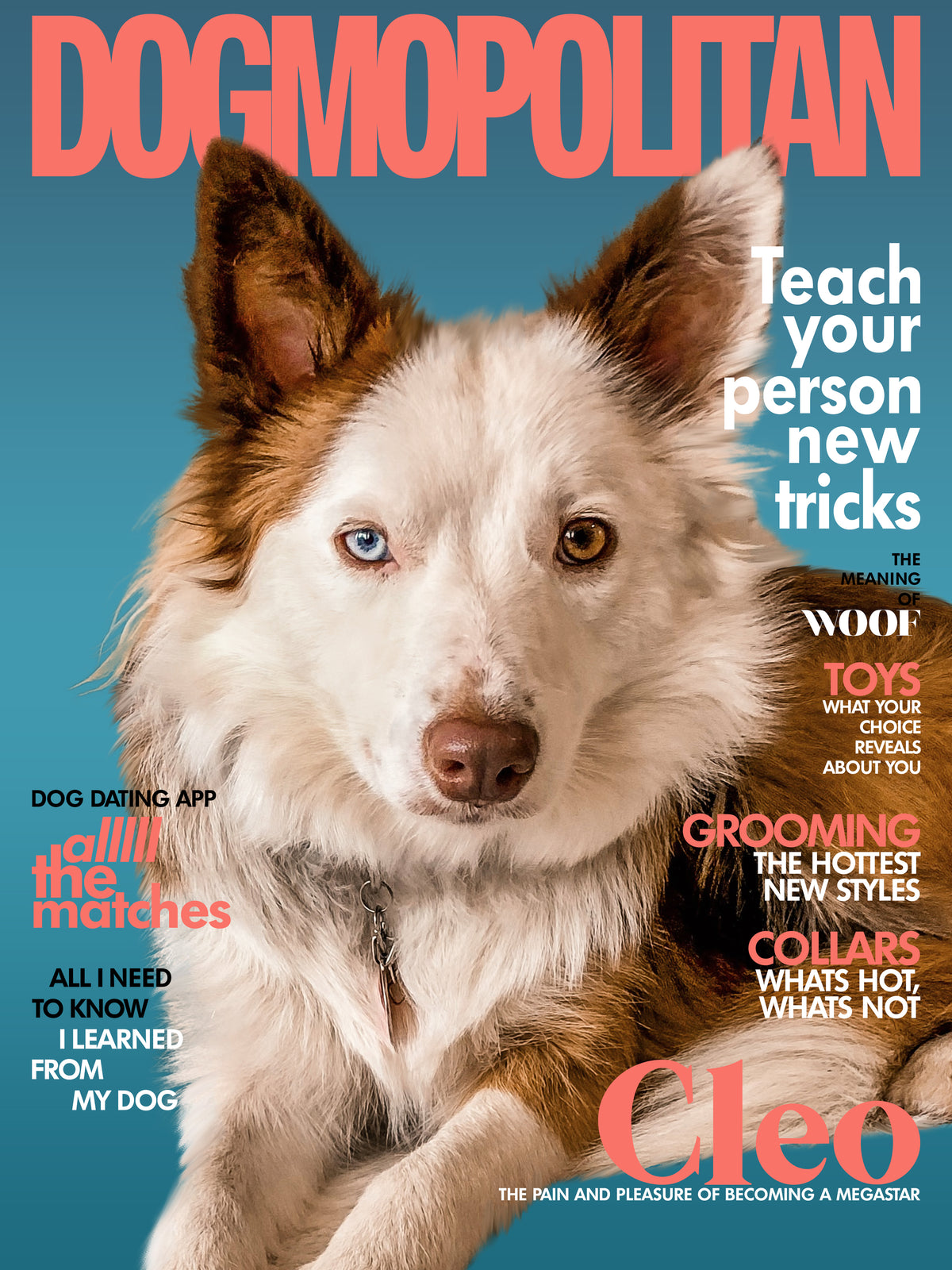 Dogmopolitan Cover Custom Premium Acrylic Pet Portrait