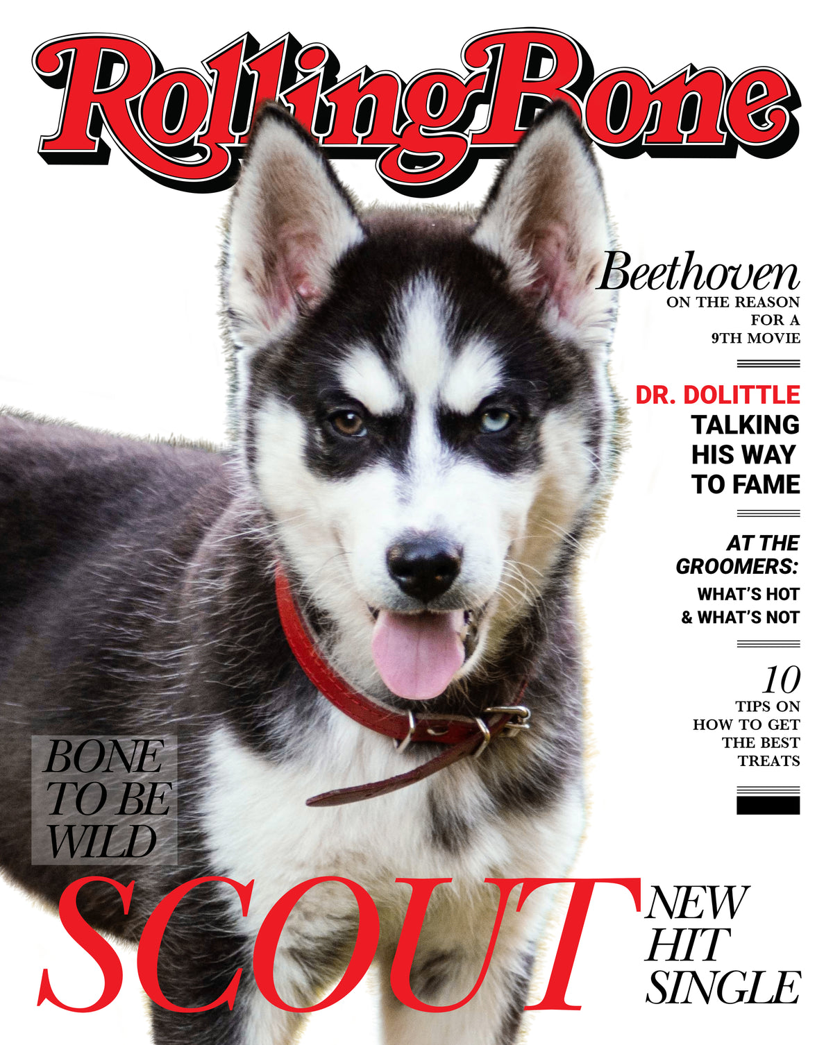 Rolling Bone Cover Custom Premium Acrylic Pet Portrait