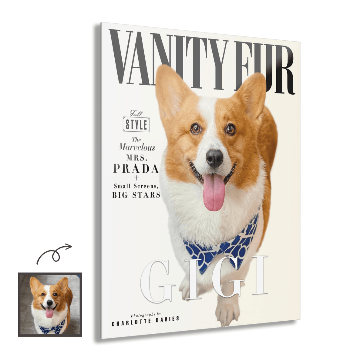 Vanity Fur Cover Custom Premium Acrylic Pet Portrait