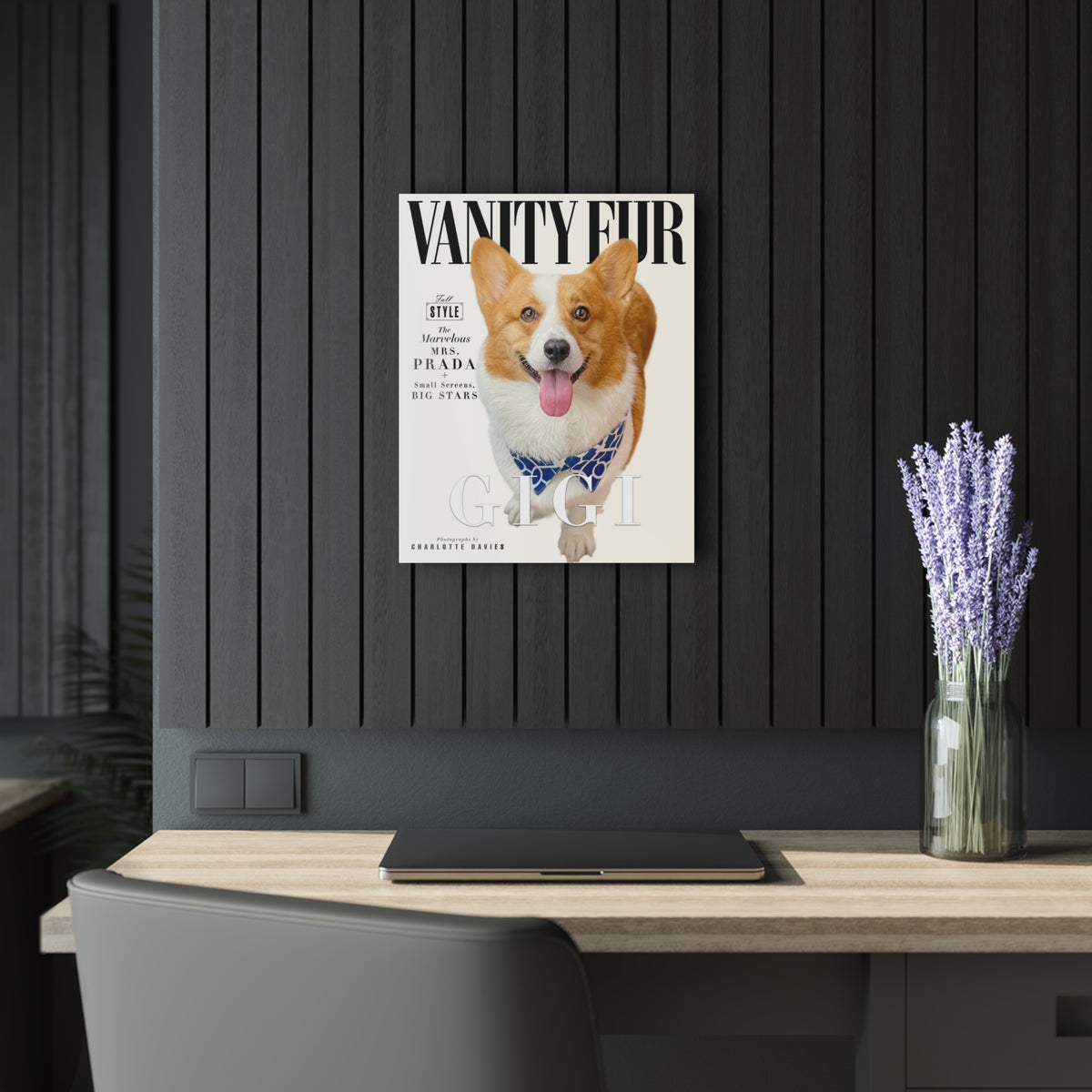 Vanity Fur Cover Custom Premium Acrylic Pet Portrait