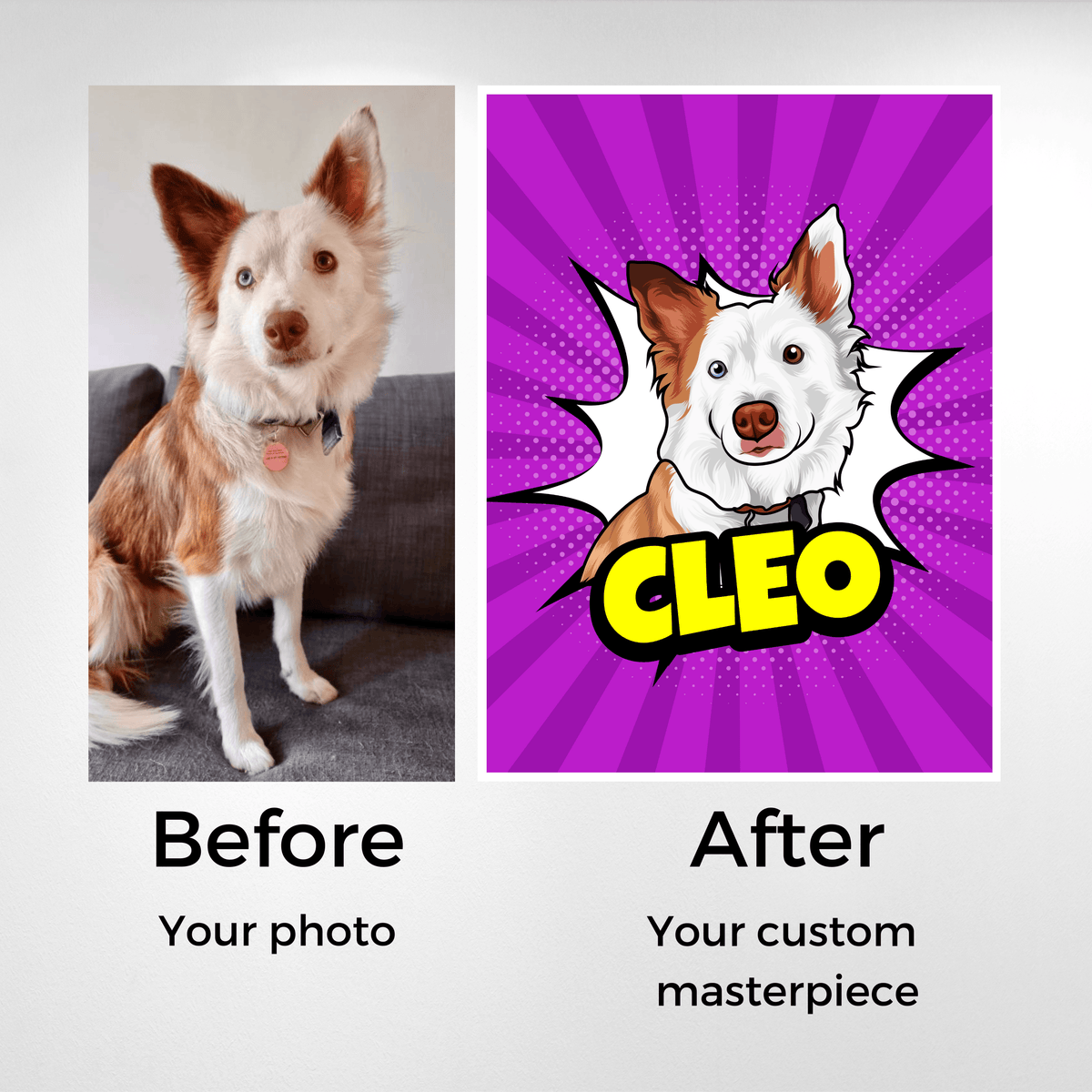 Custom Pop Art Pet Portrait